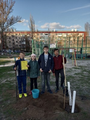   Акция «Посади дерево»